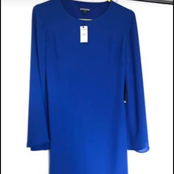 Express Dress - Picture 2 of 3
